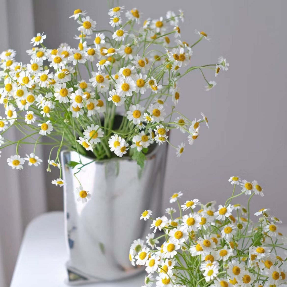 Chamomile * 300g